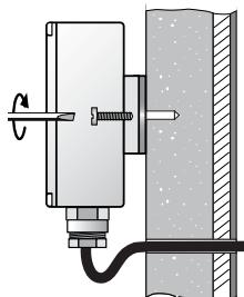 DELTA DORE DELTA 125N - Sonde extérieure - 1