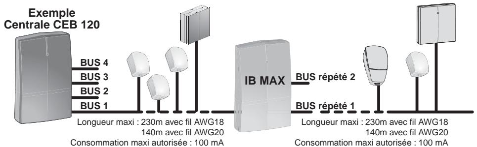 DELTA DORE INTERFACE REPETEUR BUS - Présentation - 1