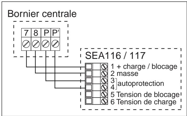 DELTA DORE SIRENE AUTOALIMENTEE EXTERIEURE SEA 116 - BRANCHEMENTS - 1