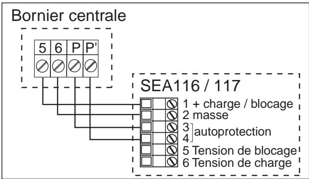 DELTA DORE SIRENE AUTOALIMENTEE EXTERIEURE SEA 116 - BRANCHEMENTS - 3