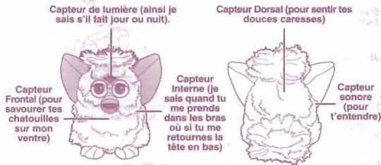 HASBRO FURBY - Apprends a me connaitre... - 1