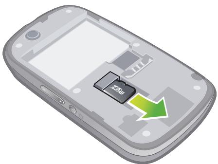 SONY ERICSSON ZYLO - Carte mémoire - 2