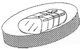 ROSIERES 541 - Le plat récolte-sauce - 2