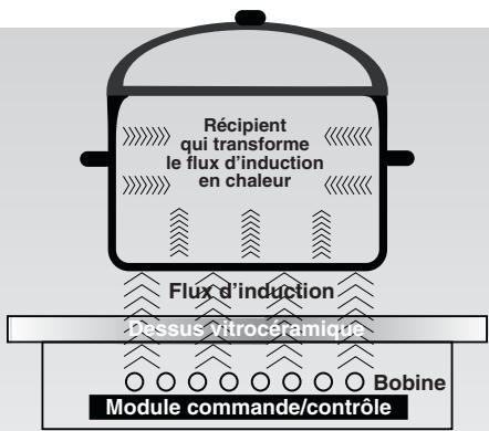 ROSIERES RPI430MM - RACCORDEMENT ELECTRIQUE - 1