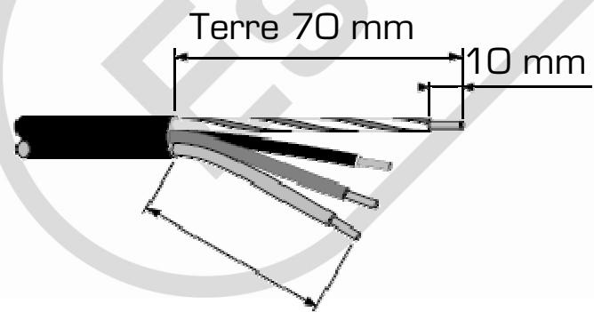 ESSENTIELB EDVI 21 - Branchement de la table - 1