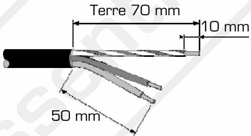 ESSENTIELB EDVR 21 - Branchement de la table - 1