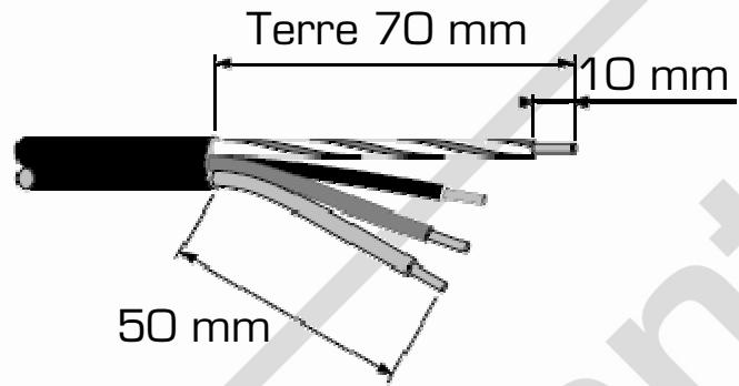 ESSENTIELB ETVI 32S - Branchement de la table - 1
