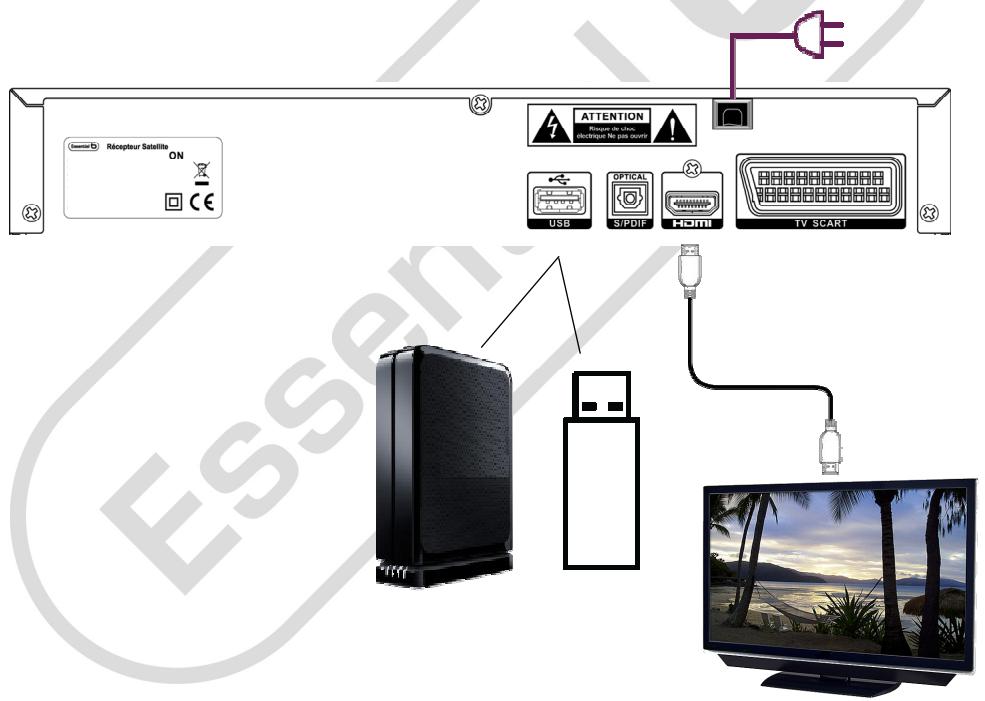 ESSENTIELB MAGICSAT - Si vous souhaitez consulter le contenu : - 1