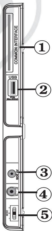 ESSENTIELB MELIA - Connexions latérales - 1