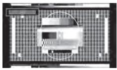 ESSENTIELB MELIA - 14:9 - 1