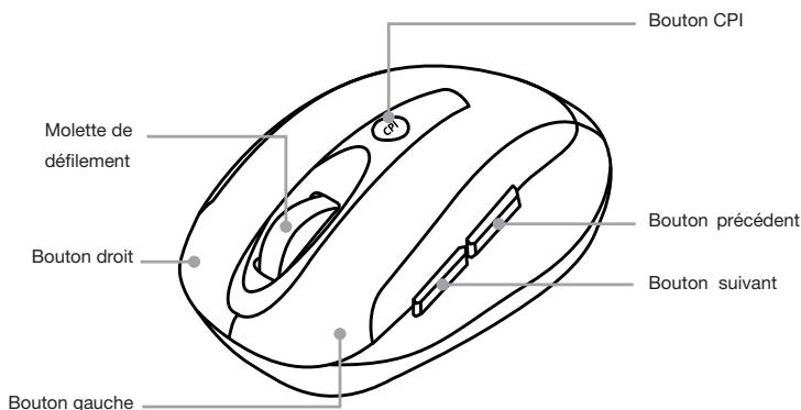 ESSENTIELB NOMADMULO - Configuration minimale requise - 1