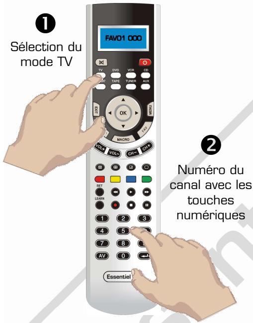 ESSENTIELB ORCHESTRA - Créer des favoris - 1