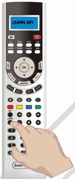 ESSENTIELB QUATUOR - Eclairage des touches et de I'ecran LCD - 2