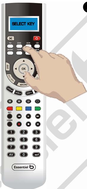 ESSENTIELB QUATUOR - Entrée de macros - 2