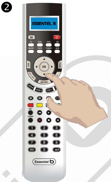 ESSENTIELB QUATUOR - Remarque - 1