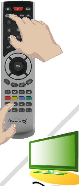 ESSENTIELB SOLO - RECHERCHE AUTOMATIQUE - 1