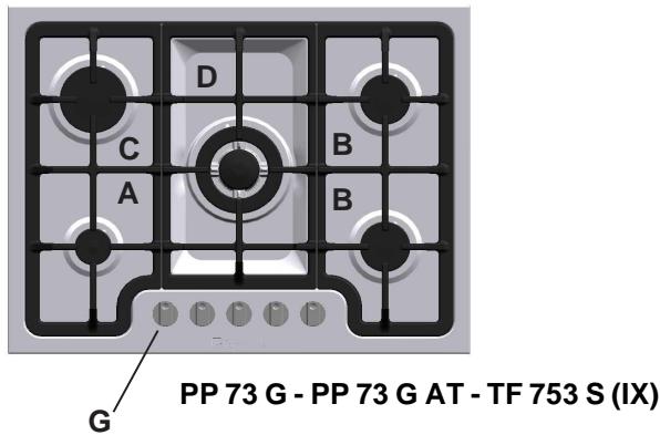 SCHOLTES TF 753 S (IX) - Adaptation aux différents types de gaz (pour la France et la Belgique) - 2