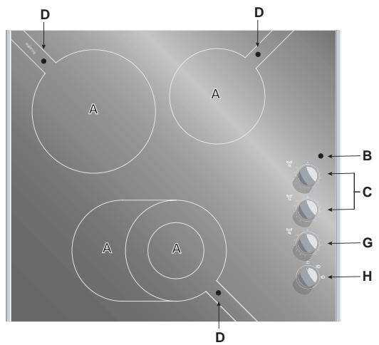 SCHOLTES TM 6230 - This appliance conforms with the following European Community Directives: - 2