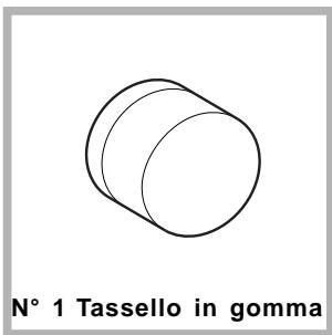 SCHOLTES MAXI SMLE 129 - Applicazione del pannello in legno alla porta e insertimento della macchina nei mobili: - 10