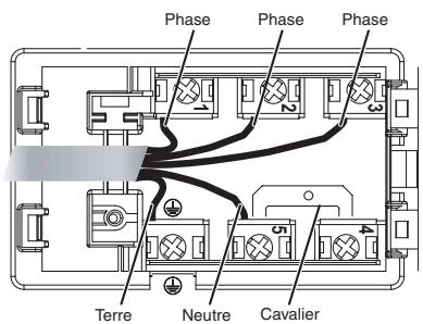 SCHOLTES TRC 630 C - Autres types de branchement - 1