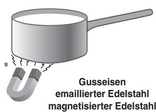 Gusseisen emaillierter Edelstahl magnetisierter Edelstahl
