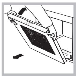 SCHOLTES DFS 1032ELS P - Pulire la porta - 3