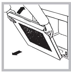 SCHOLTES DFS 1032ELS P - Limpeza da porta - 3