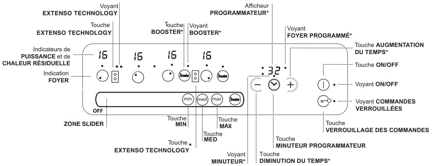 SCHOLTES SCH IF 632 CPD B - Tableau de bord - 1