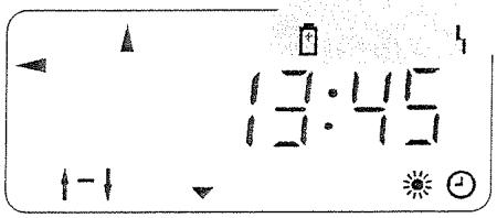 VIESSMANN THERMOSTAT-F - Mise en décharge! - 1