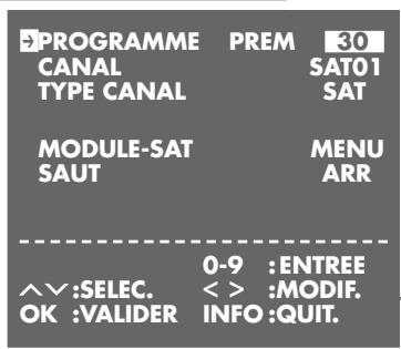 GRUNDIG PALERMO SE 1400 SV - Programmation d'un numéro de chaîne pour le décodeur - 2
