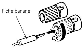 DENON DRA-685 - Connexion des fiches bananes - 1