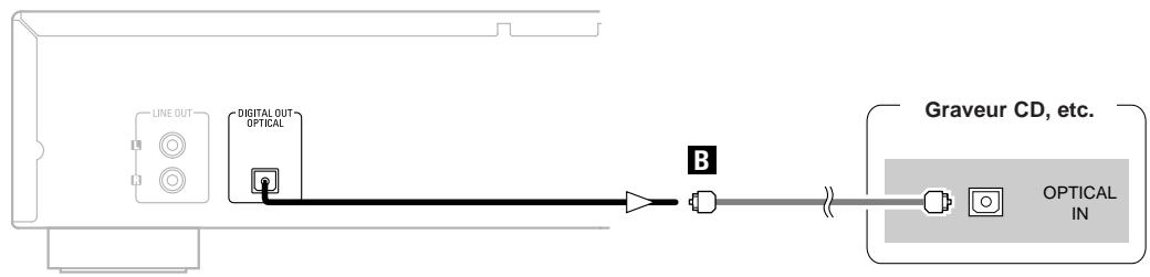 DENON DN-C100P - Connexions numériques - 1
