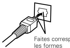 DENON DN-C100P - Connexions numériques - 2