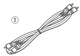 DENON DN-V310 - Accessions - 1