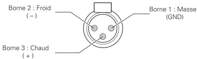 DENON PMA-SA1 - Bornes balanced INPUT (balanced INPUT) - 1