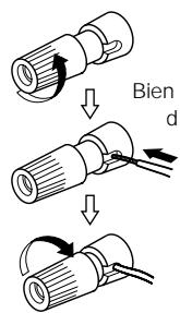 DENON D-F103 - Connexion des câbles d'enceinte - 1