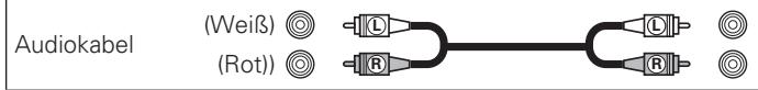 DENON DNP-720AE - Anschlusskabel - 1
