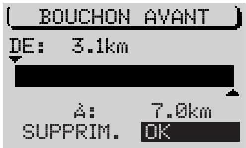 BLAUPUNKT TRAVELPILOT RNS4 - Annuler la déviation - 2