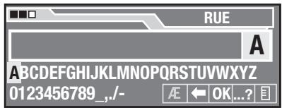 BLAUPUNKT TRAVELPILOT ROME EUROPE NAV56E - Entrer la rue - 1