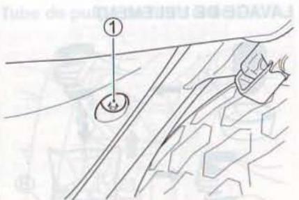 SUZUKI RV125 - Attention - 1
