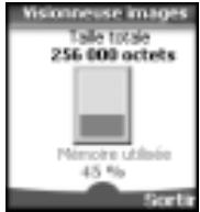Visonneuse images Taille totale 256 000 octets Mémoire utilisee 45 % Sortir