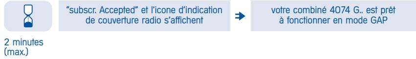 ALCATEL-LUCENT 4074 H - Success d'enregistrement : - 1