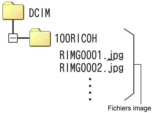 RICOH CAPILO RX - Images enregistrées sur une carte PC - 1