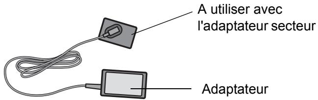 RICOH CAPILO RX - Quand utiliser l'adaptateur secteur - 1