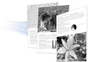 RICOH AFICIO SP 1100S - COMMUNICATION RAPIDE (SP 1100SF) - 1