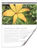 RICOH AFICIO SP 3400SF - Augmentez l'efficacité de votre bureau - 2