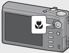 RICOH CX3 - Prises de vue rapprochées (macrophotographie) - 1