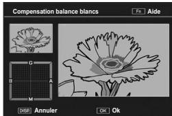 RICOH CX3 - Compensation balance blancs - 1