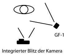RICOH GF-1 - Nebenblitz - 1