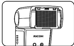 RICOH GF-1 - Umpokoyrolbhi paccenBaTeNb - 1